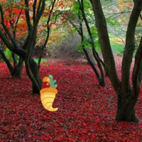 BigEscapeGames-Thanksgiving Red Autumn Forest Escape