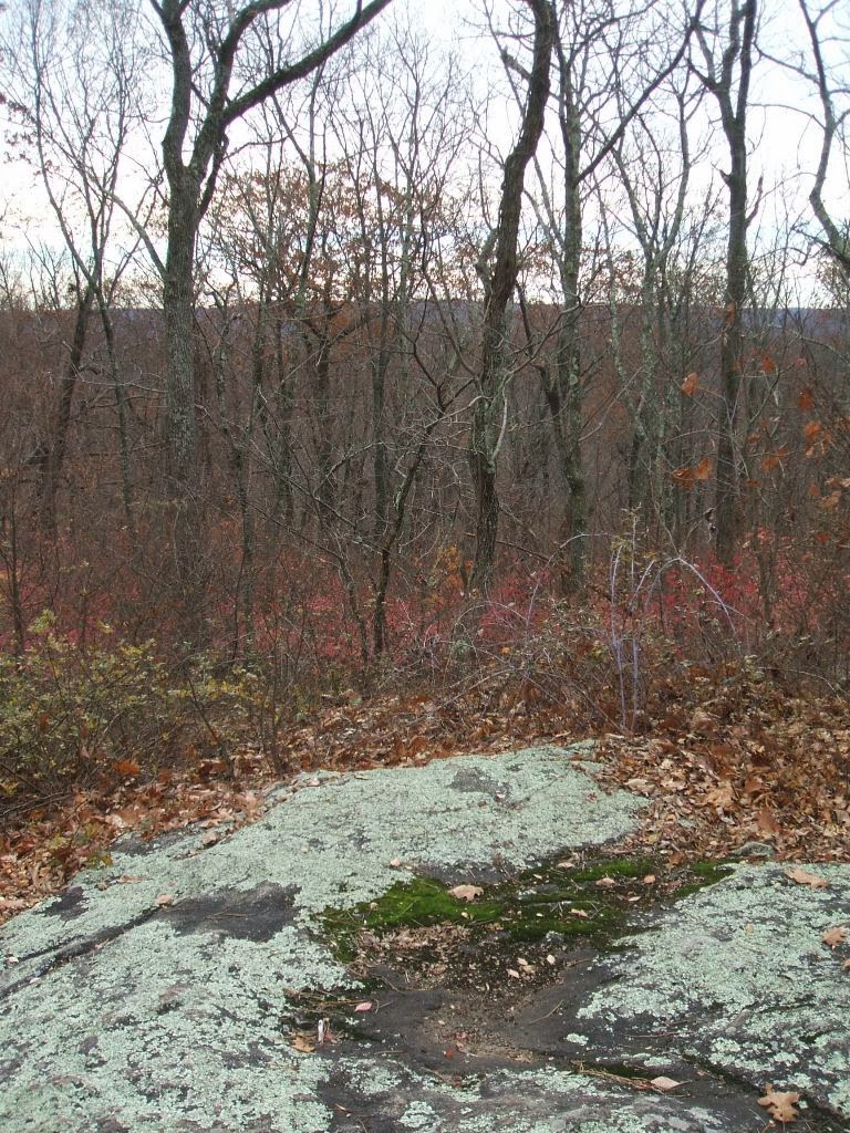 Into the Sky Hole Allamuchy Mountain and North Allamuchy, November 11