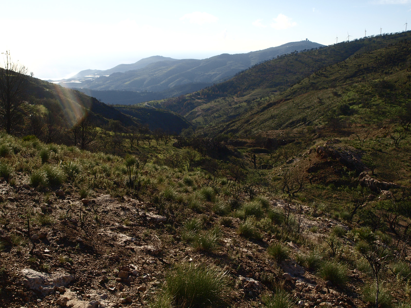 Caminando por Sierras y Calles de Andalucía: Sierra Lújar I: Lagos ...