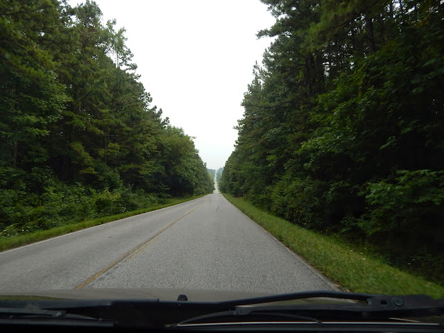Road in KY going through trees- CarmaPoodale
