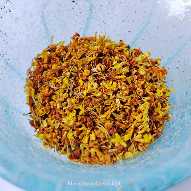 Osmanthus fragrans kwiaty zastosowanie właściwości smak zapach sweet osmanthus wończa w Chinach herbata kawa kwiatowa co to za roślina krzew po polsku jak smakuje wygląda pachnie rośnie gdzie