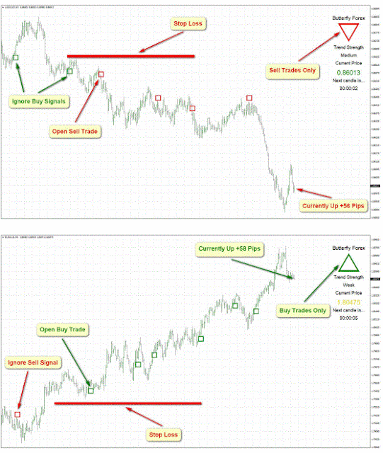 Butterfly forex system