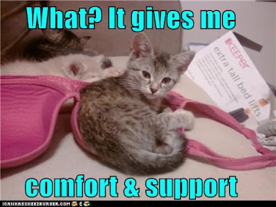 funny-pictures-what-it-gives-me-comfort-support.jpg