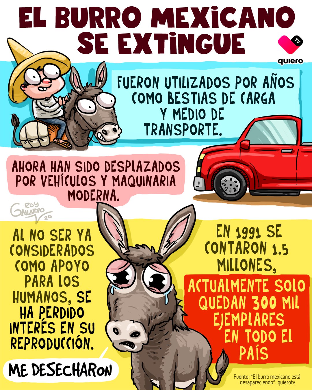 Los burros emn México