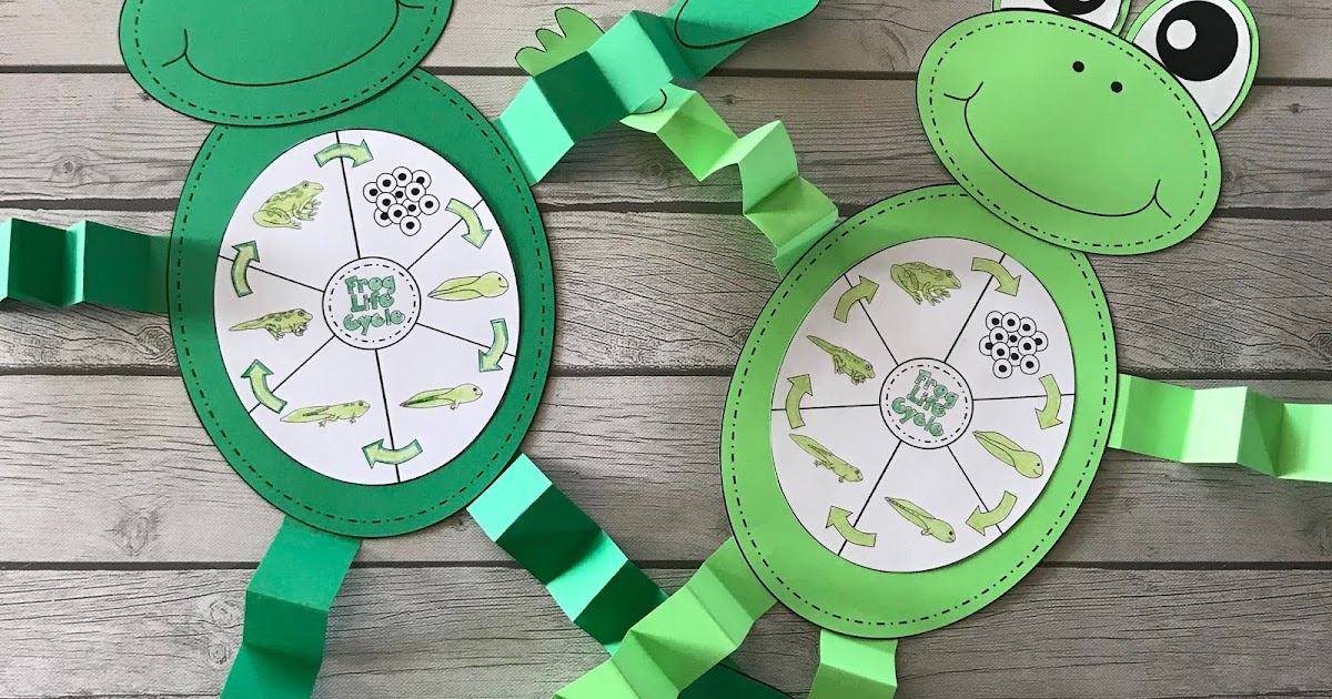 Life Cycle of a Frog Craft | Mrs. McGinnis' Little Zizzers