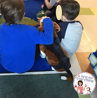 How to a classroom pet to help student self-regulate. 