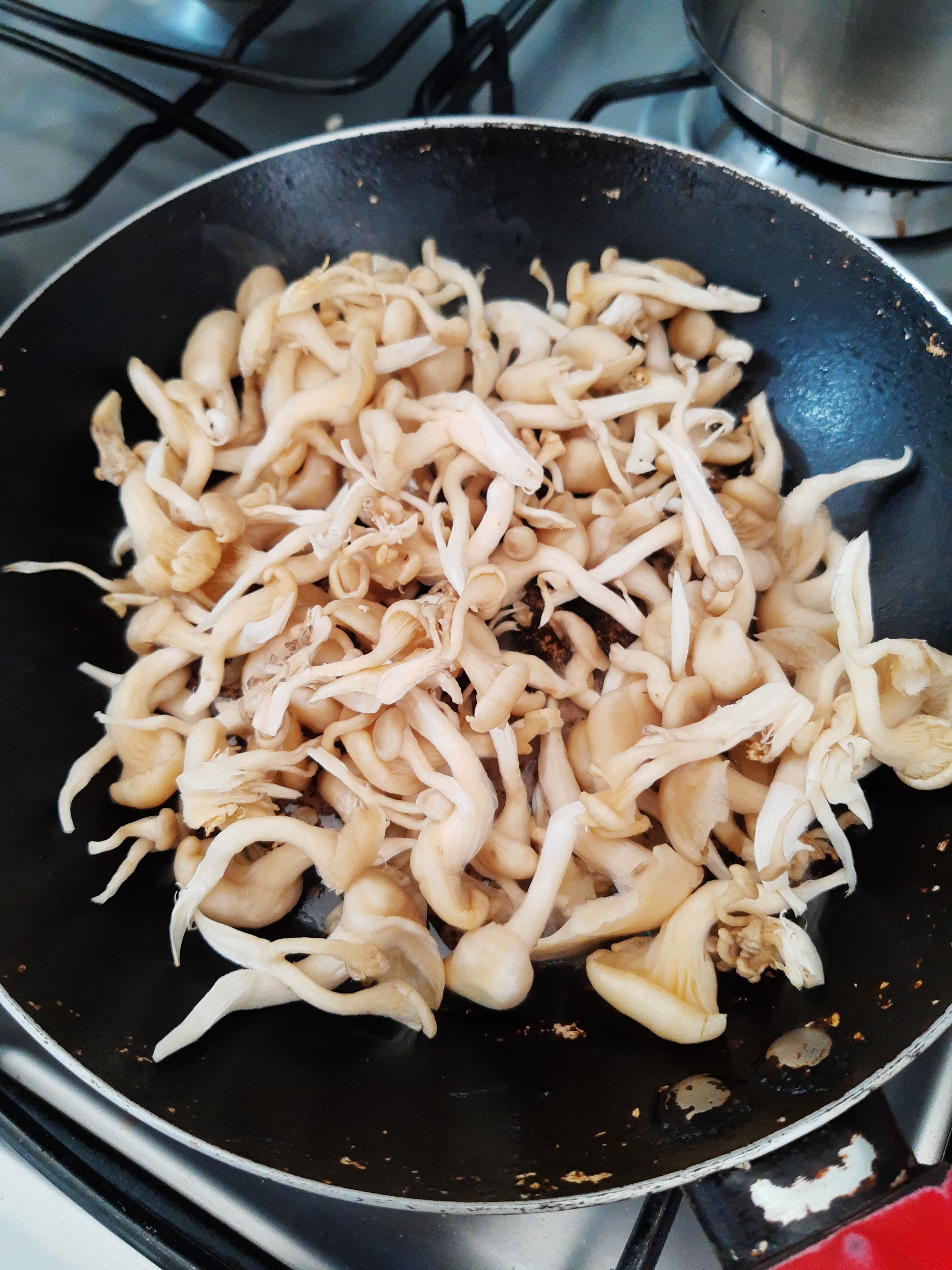 cogumelo shimeji bem prático