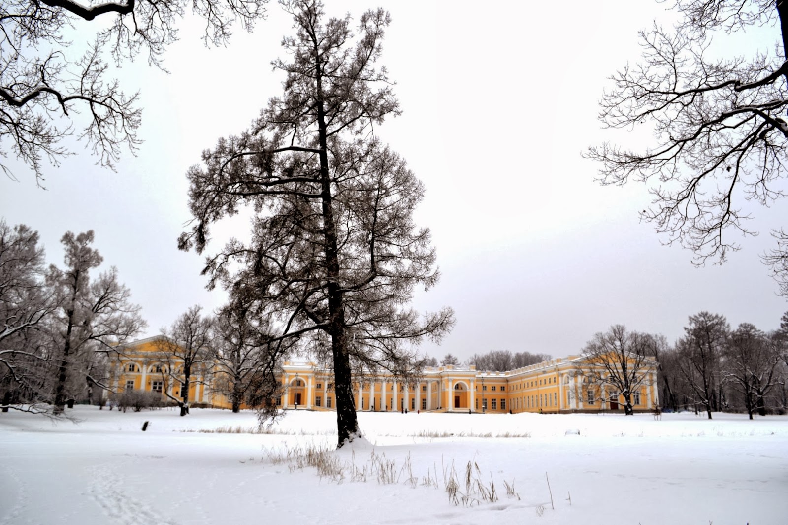 Пушкин екатерининский парк зимой