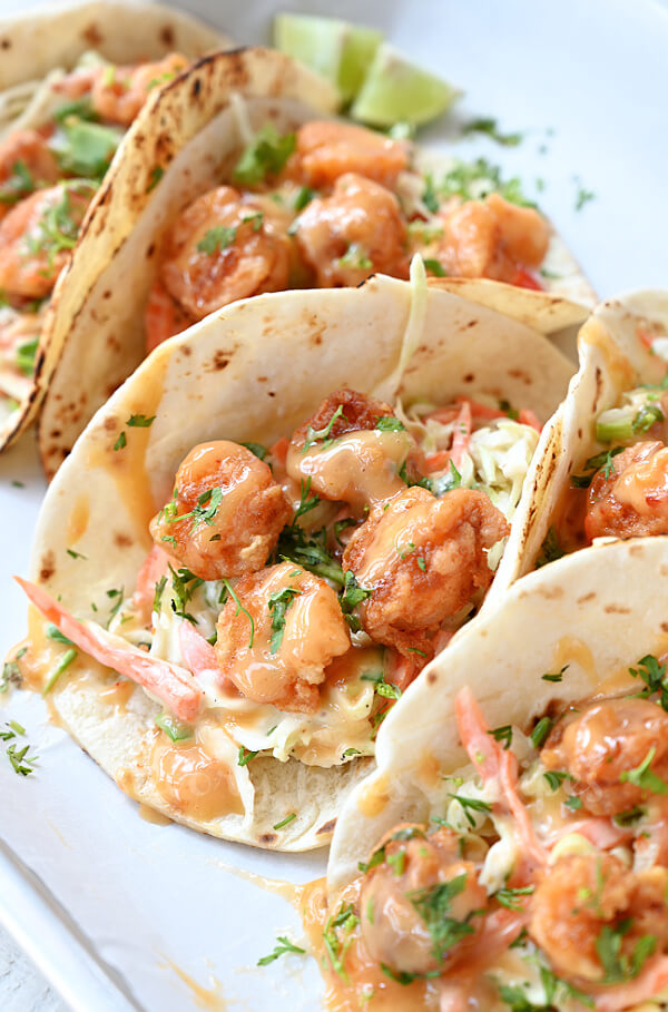 bonefish grill style bang bang shrimp tacos arranged