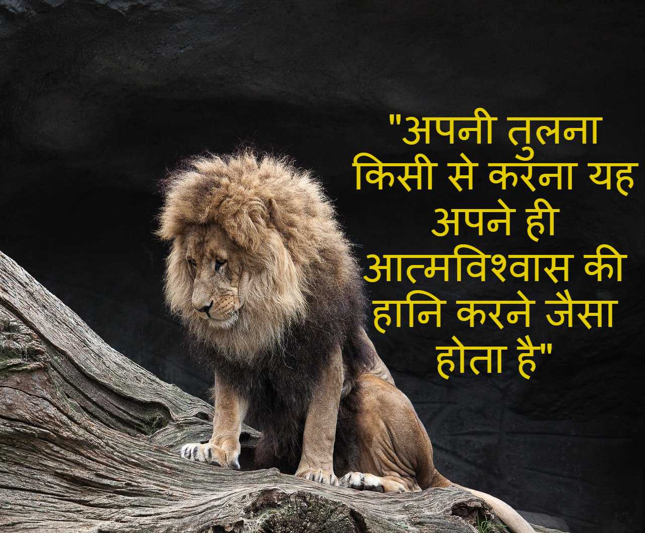 जिंदगी में अपनी तुलना किसी से मत करना | Welcome to जिंदगी में अपनी तुलना किसी से मत करना |