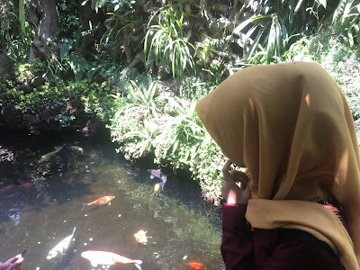 FARMHOUSE Wisata Edukasi, LEMBANG-BANDUNG | Libur Akhir Pekan FARMHOUSE Wisata Edukasi, LEMBANG-BANDUNG | Libur Akhir Pekan