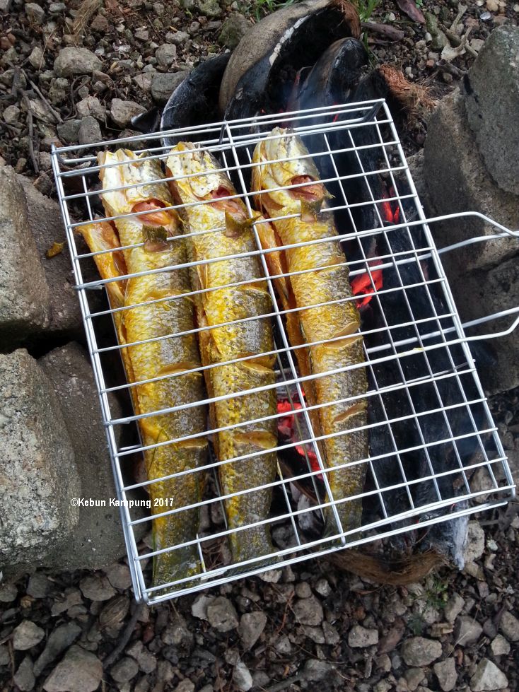 Ikan Haruan Salai Masak Lemak Cili Api