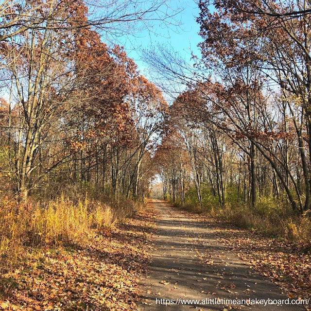 A Little Time and a Keyboard Late Fall Amble at Bode Lake