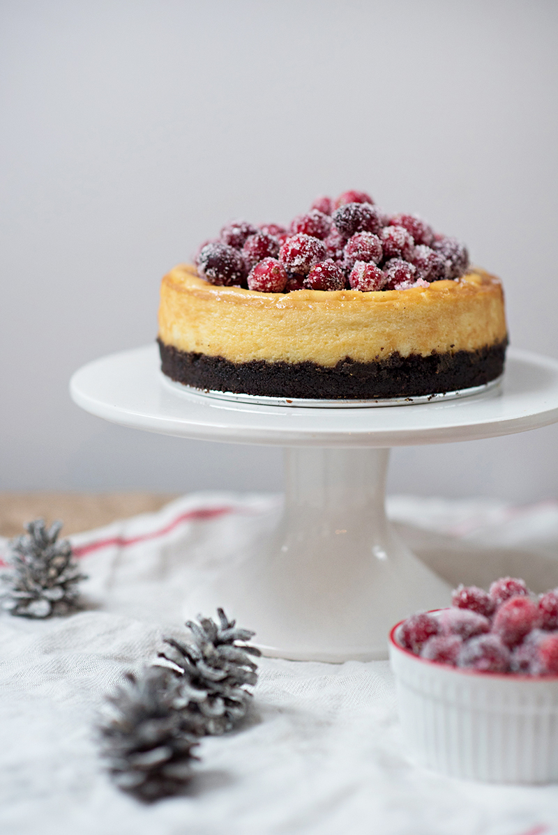 Mascarpone Cheesecake with Sugared Cranberries - Obsessive Cooking Disorder