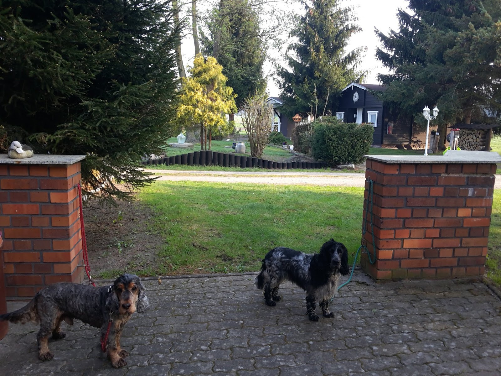 Oma mit Hund Spreewald immer mit Hund