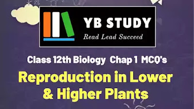 Reproduction in lower and higher plants MCQ