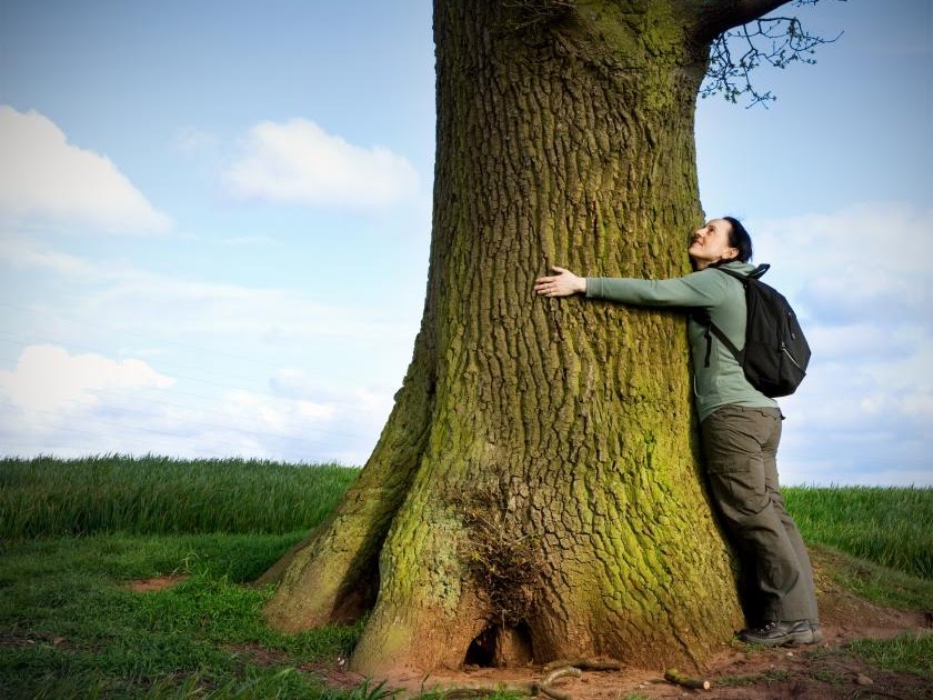 গাছ ও মানুষ বাংলা রচনা Bengali Essay on Tree and Human Bangla