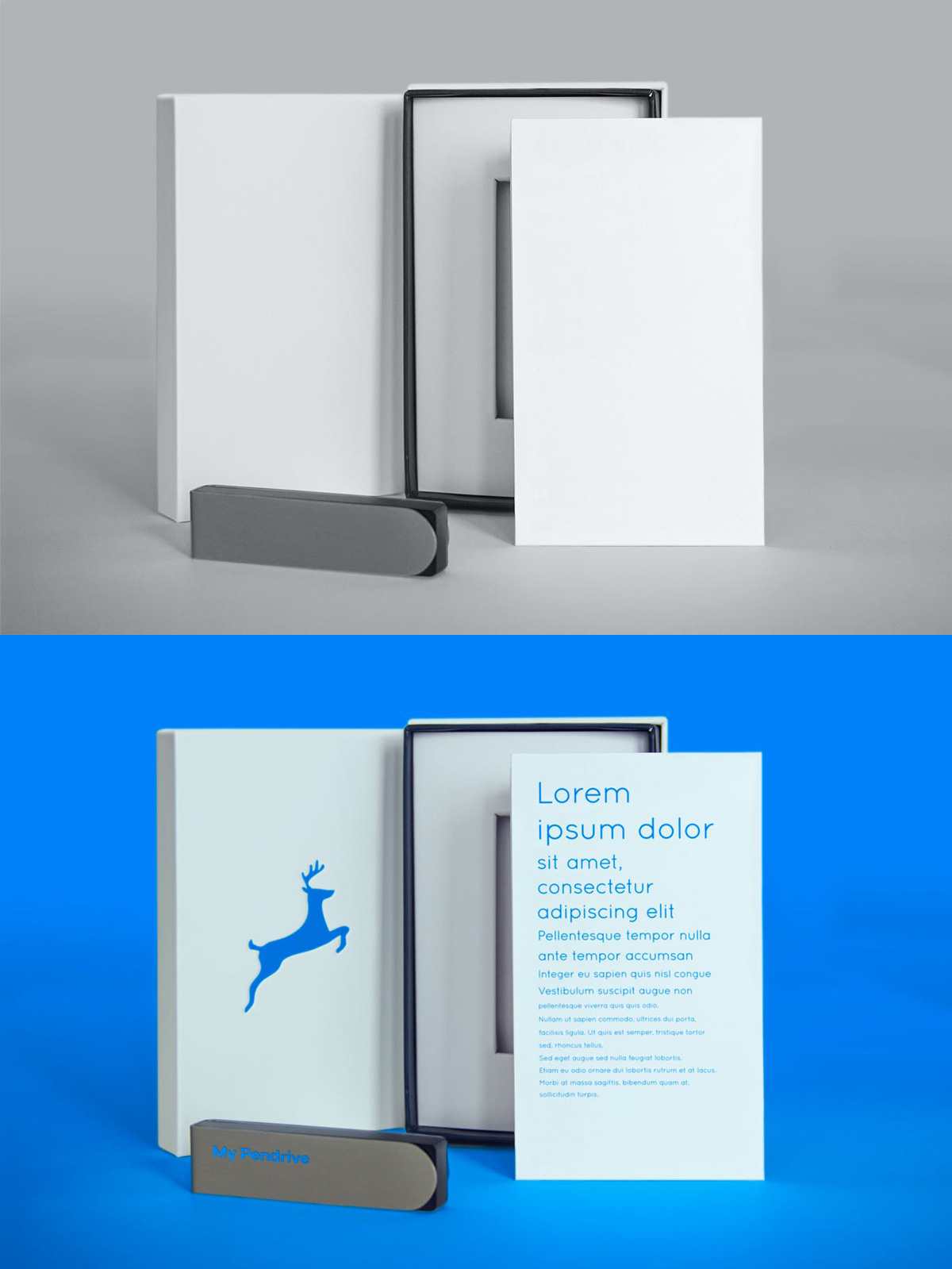 Standing Product and Pendrive psd Mock-ups 2 Standing Product and Pendrive psd Mock ups Free