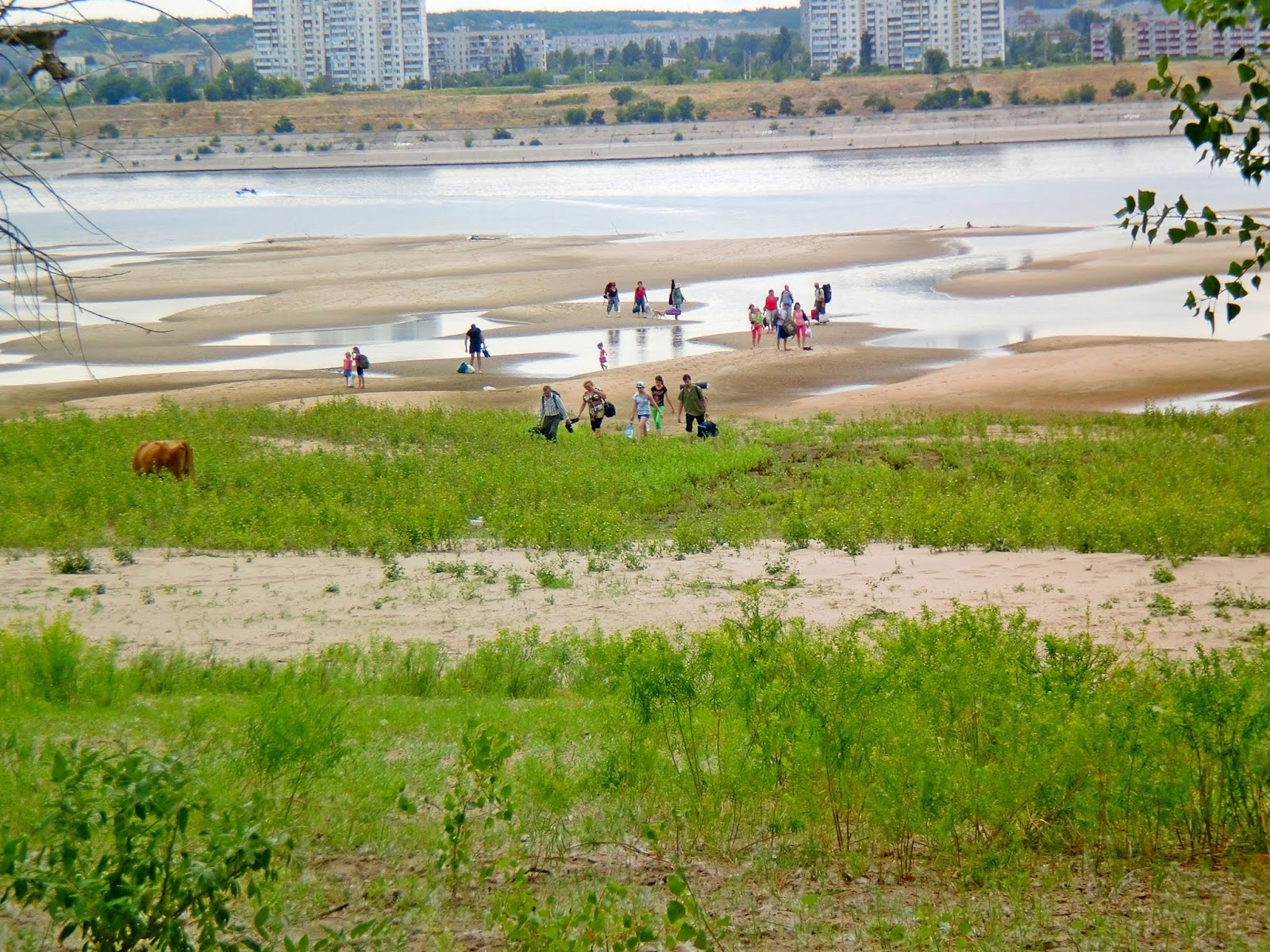 Остров сарпинский