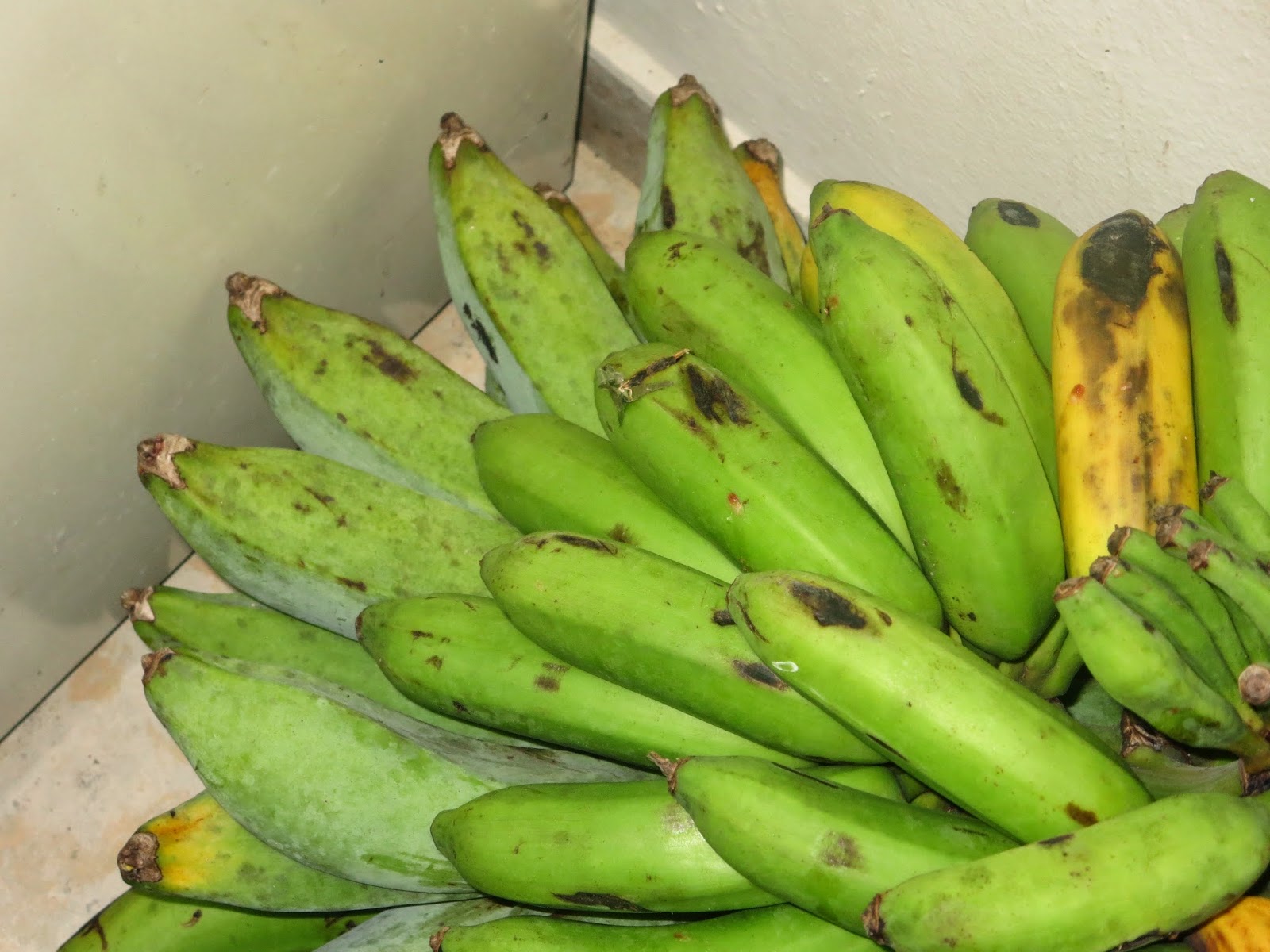 Cocina casera República Dominicana marzo 2014