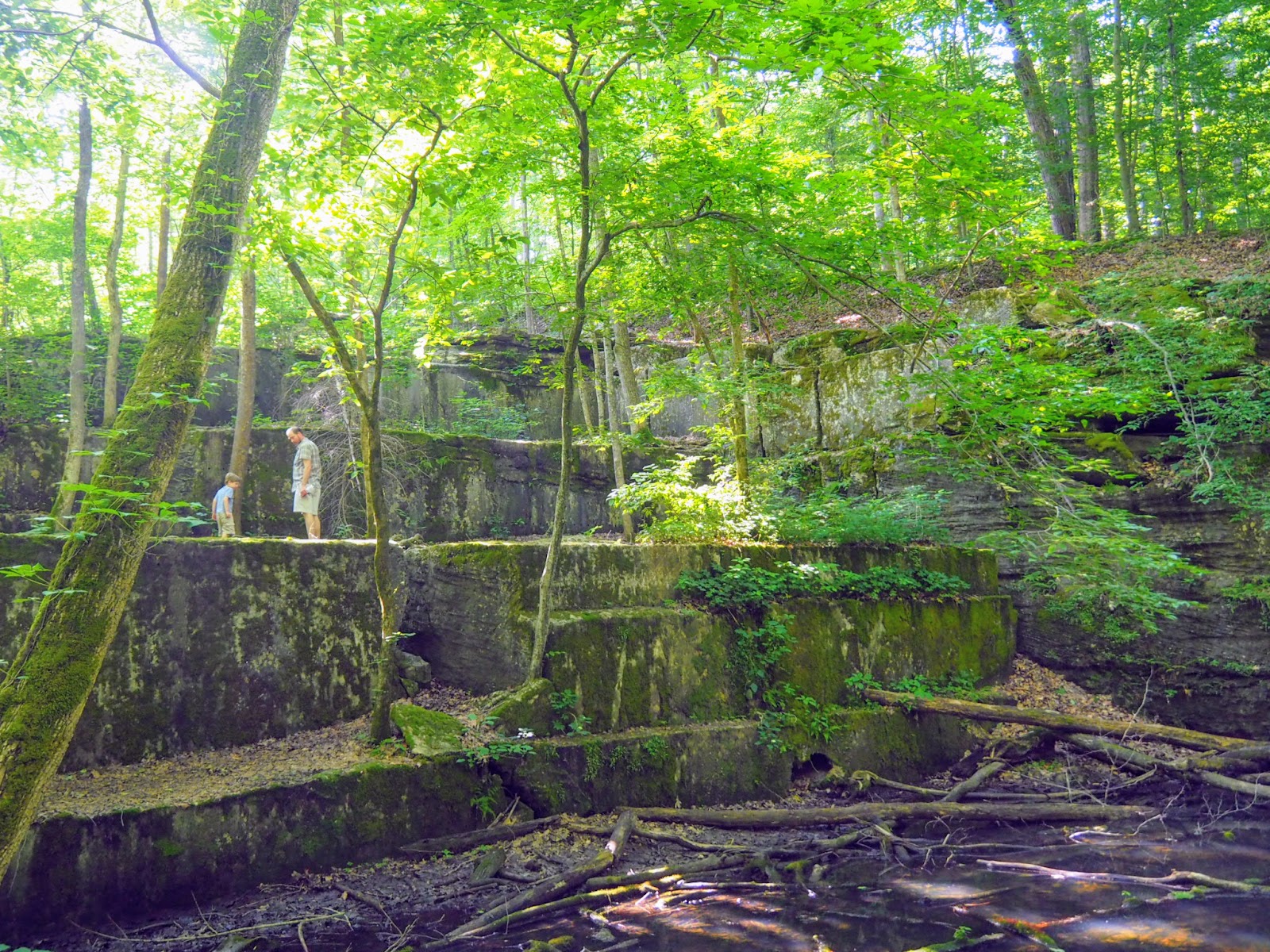 Spencer, IN McCormick's Creek State Park, Old State House Quarry