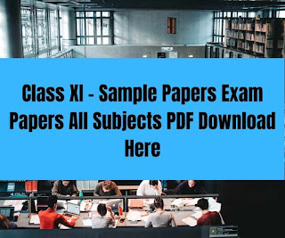 Class XI - Sample Papers Exam Papers All Subjects PDF Download Here