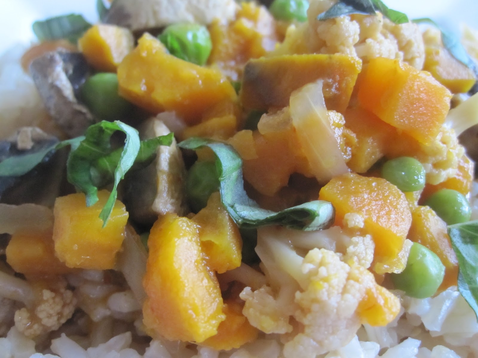 Crock Pot Thai Vegetable Curry
