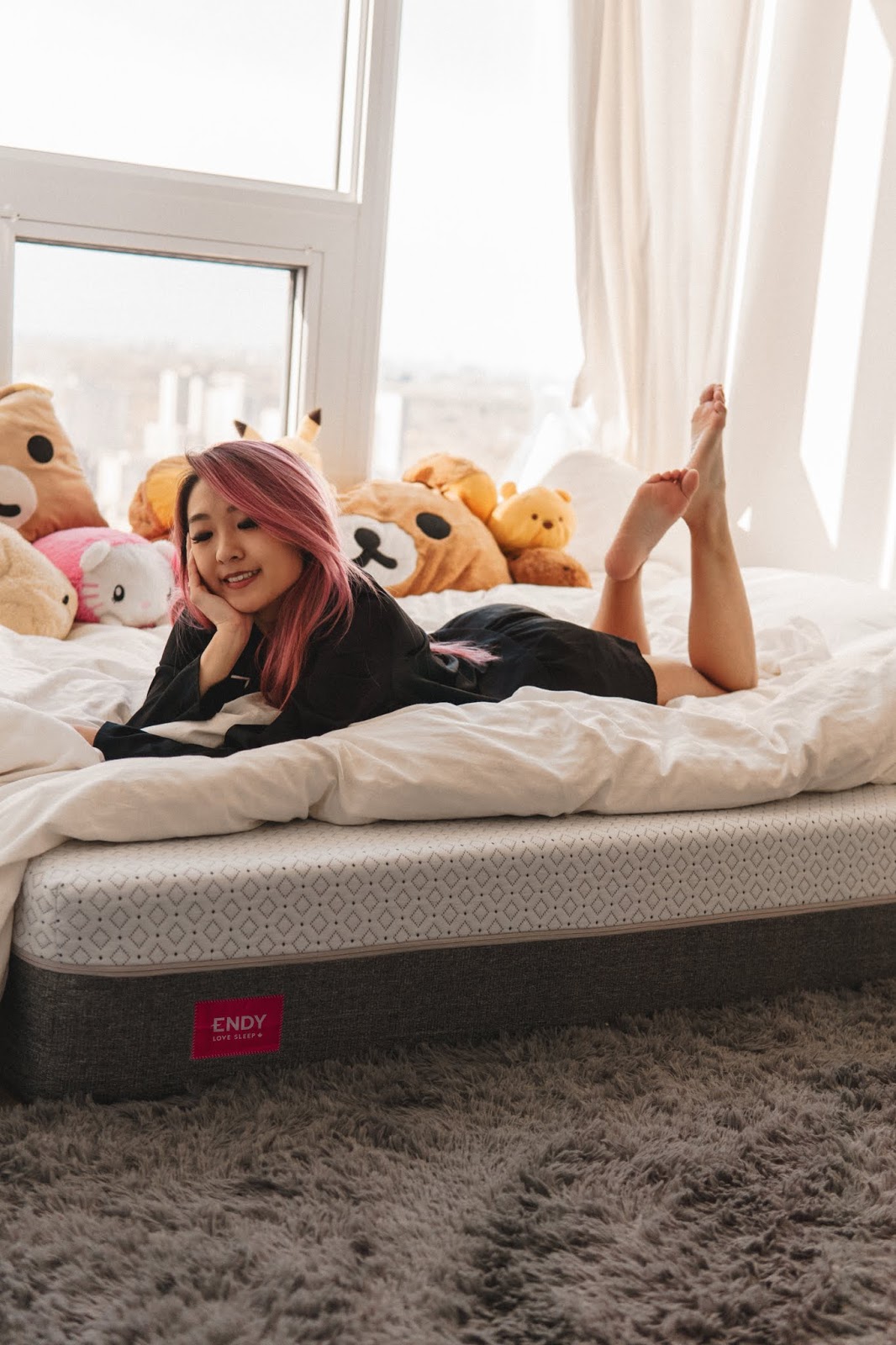 Endy Mattress Canada Net Worth imgBaback