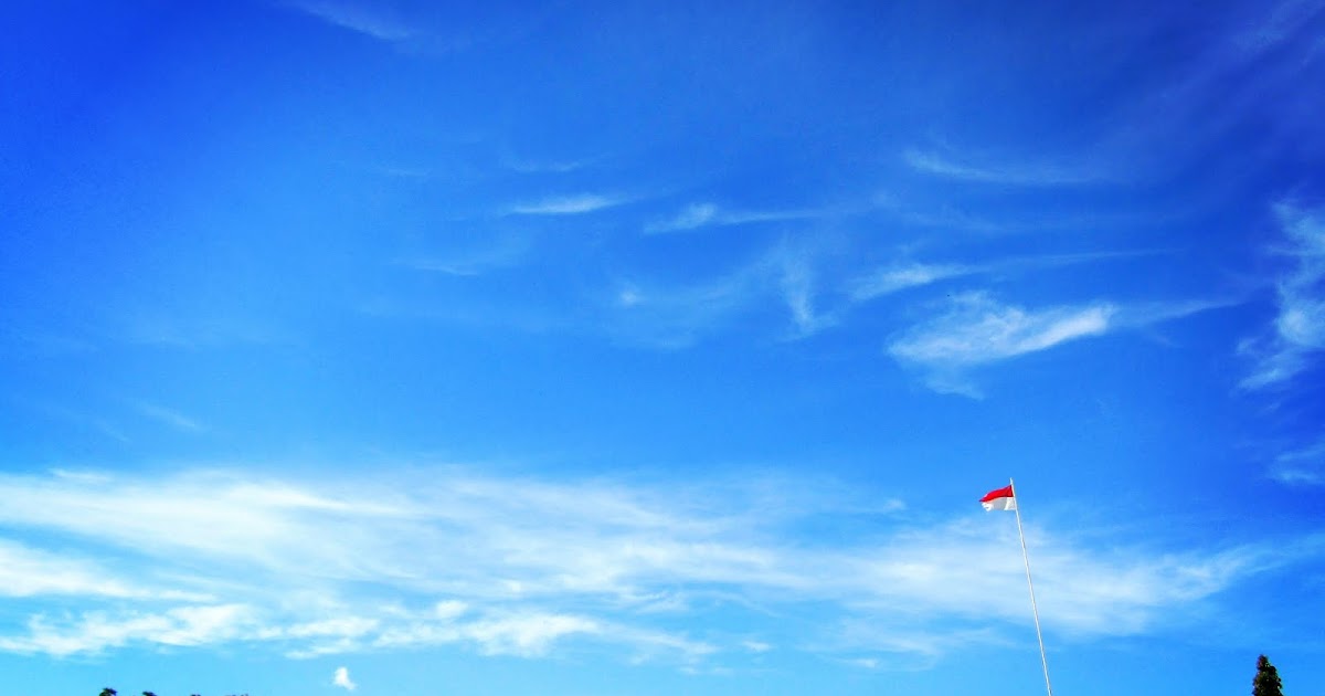 Apa yang dimaksud dengan jenjang data