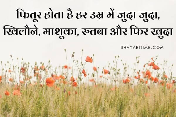 shayari