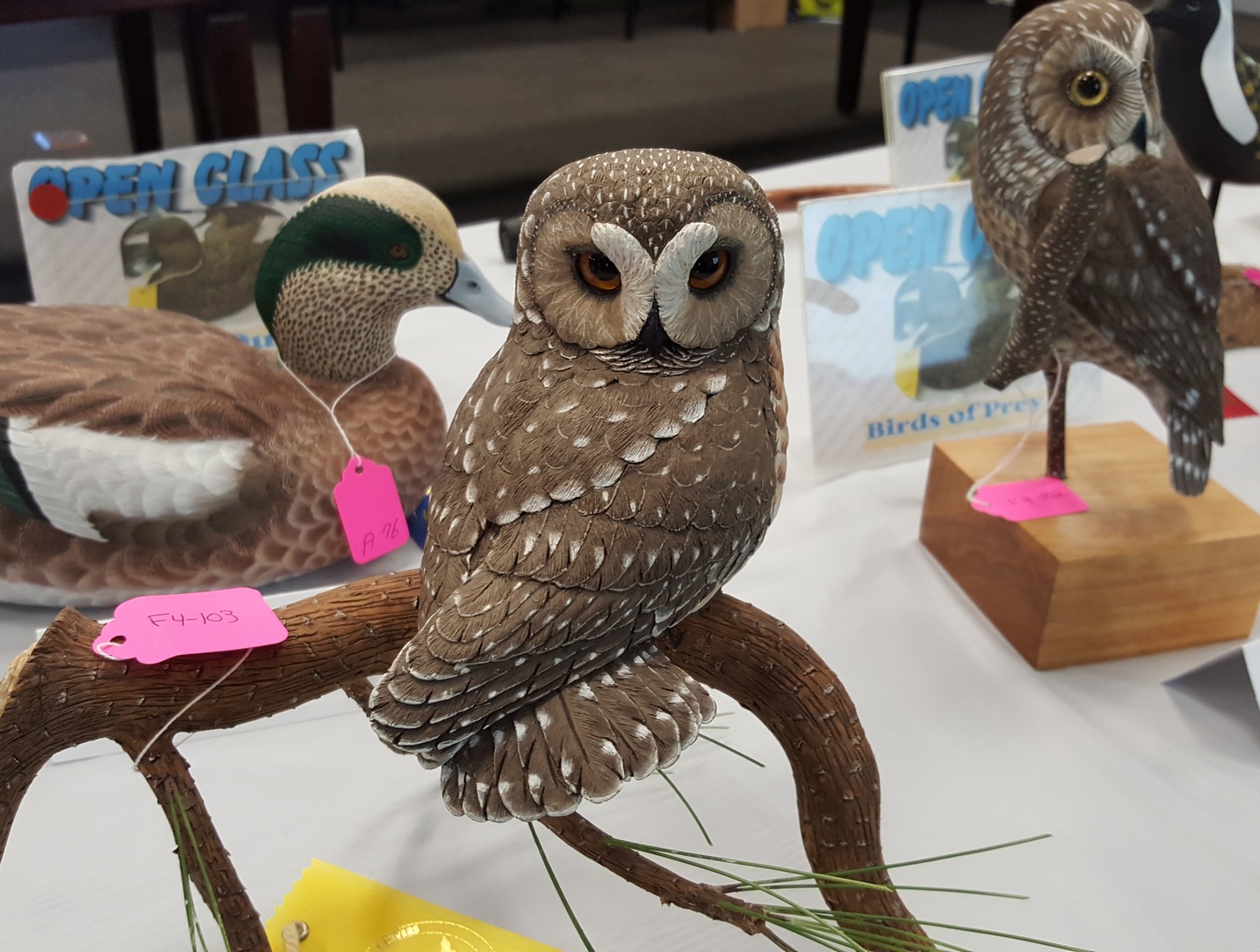 Ales the woodcarver Photos from PEI wood carving show and competition 2017