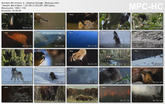 |NATGEO WILD|4GB|America Salvaje|4/4|HD 720p|MEGA