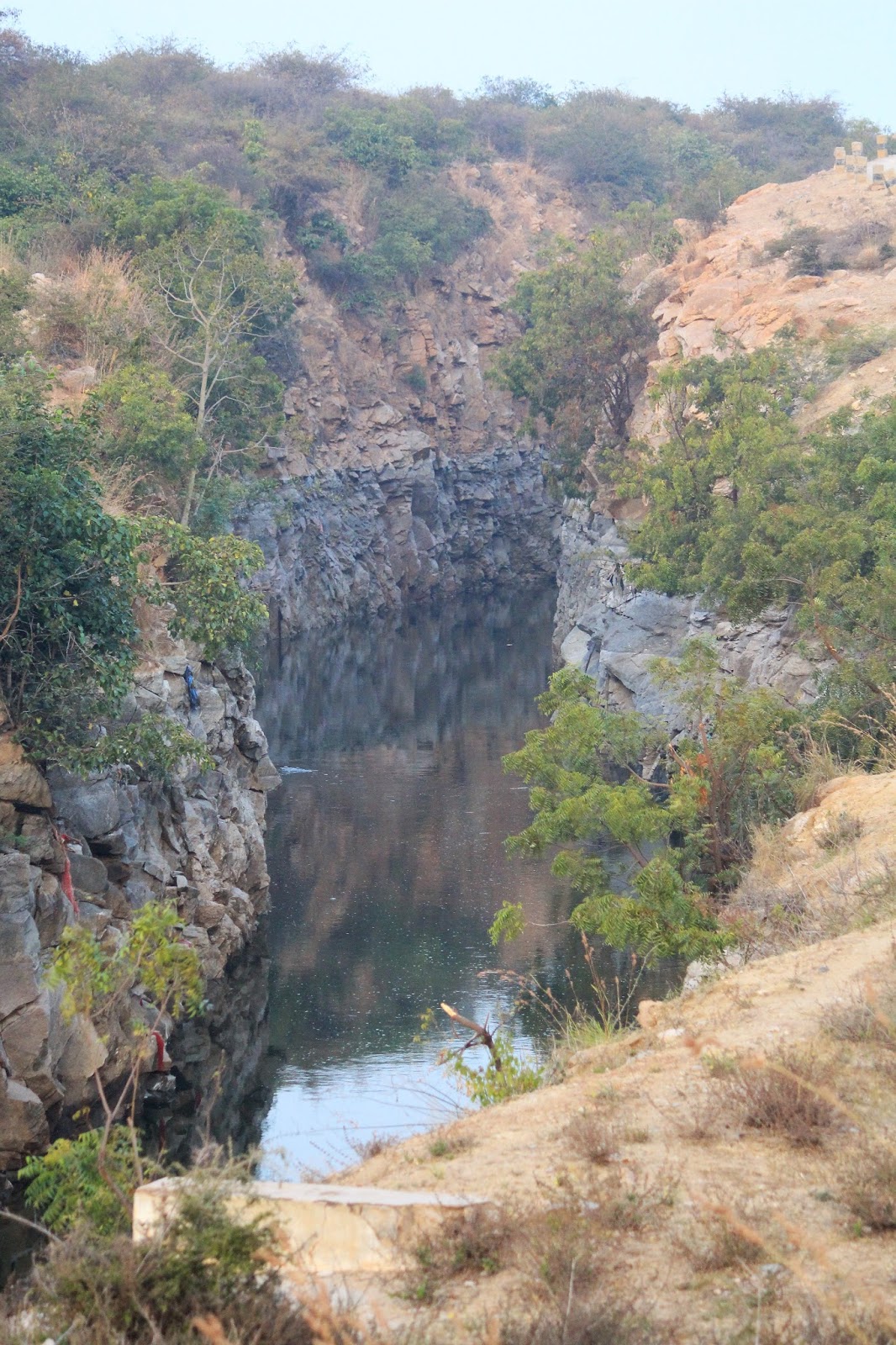 Birding along Tungabhadra high level canal, Hampi Enigmatic India