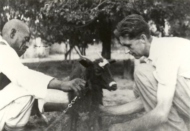 Orwell rules for great writings 