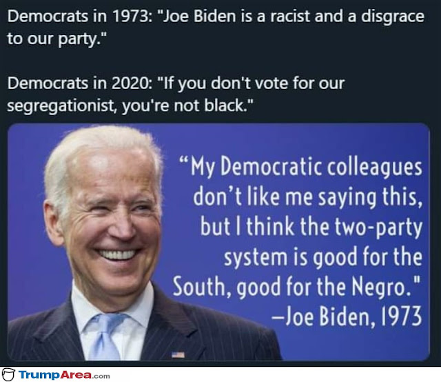 DEM%2BBIDEN%2B%25289%2529.jpg