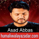 https://www.humaliwalyazadar.com/2018/09/asad-abbas-nohay-2019_29.html