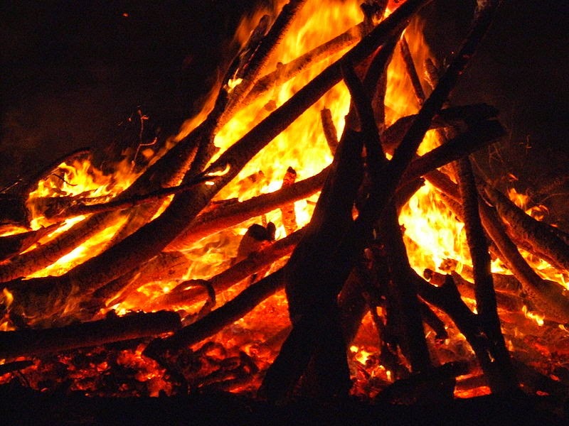 Parte Pagana: 2014