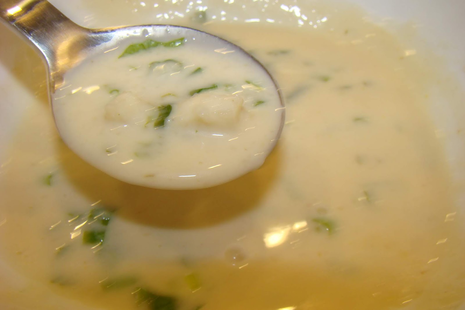 My Favorite Recipes Collection Brazilian Hearts of Palm Creamy Soup