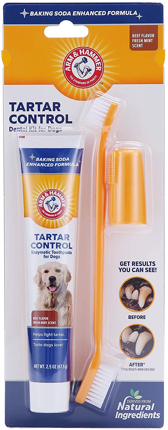 5 Best Vet Dog Toothpastes of 2020 Doglopedix