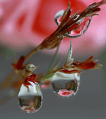 2013-11-07.gif