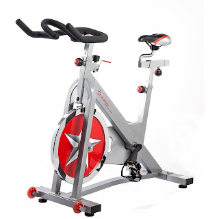 sunny b901 bike