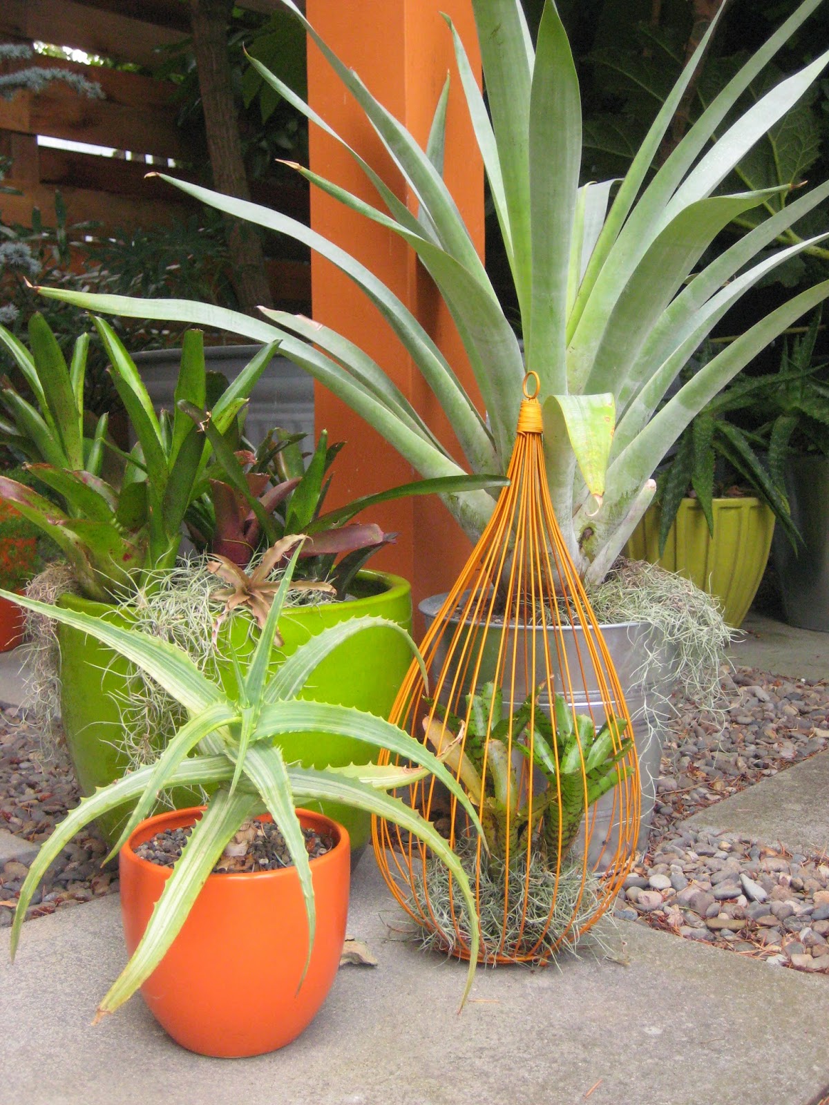 Variegated Heights Of My Favorite Takes Me Back To Paris