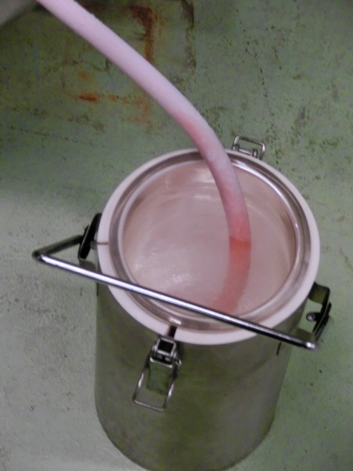 wigton physics Cooling with liquid nitrogen