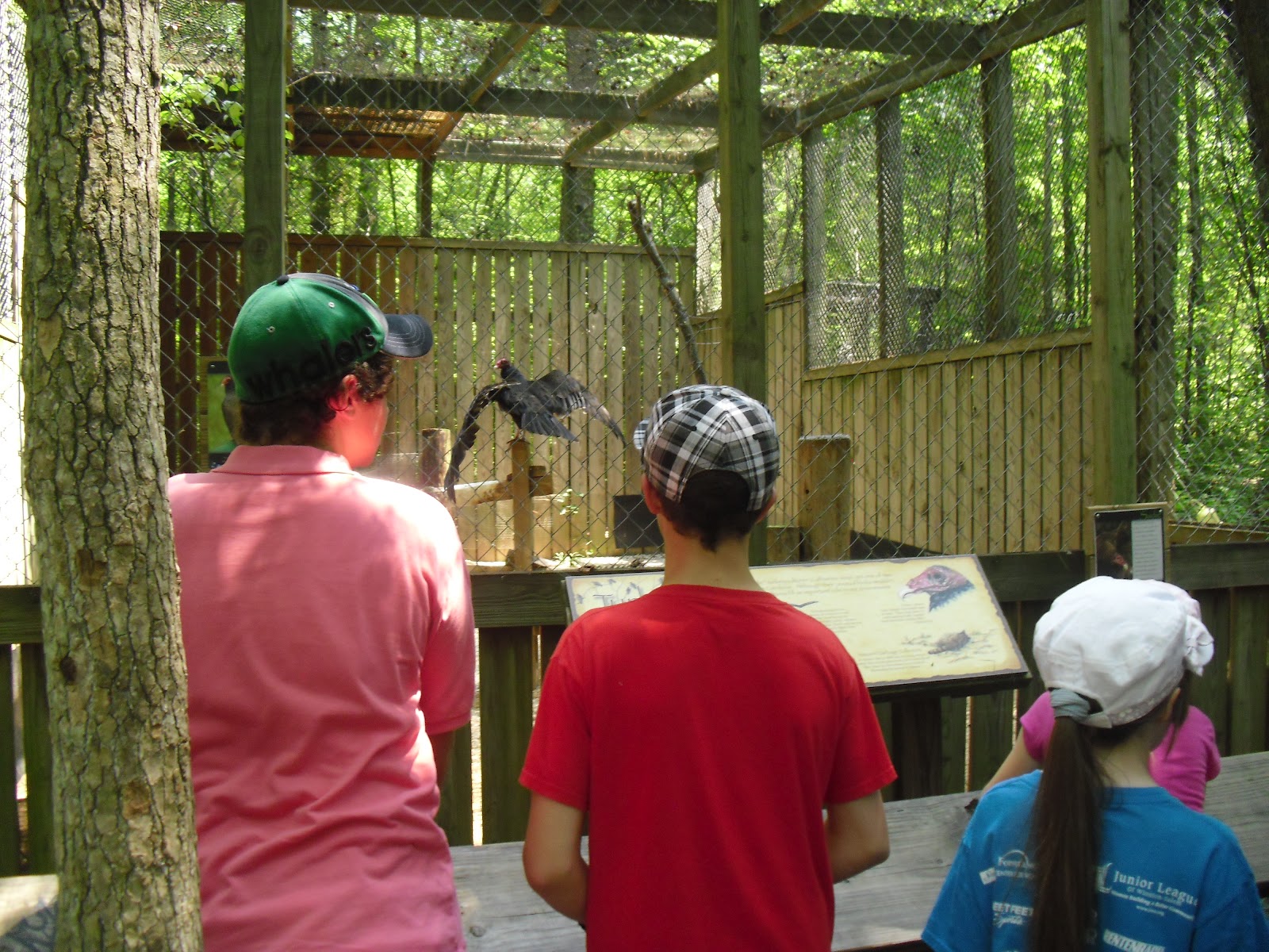 Travel NC With Kids: Carolina Raptor Center – See Eagles, Owls, Hawks ...