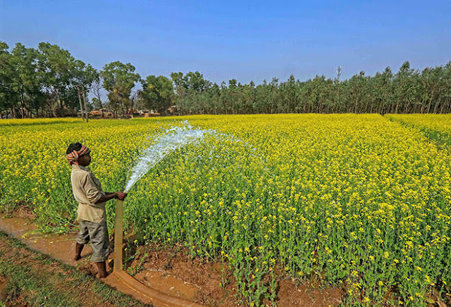 PM TO LAUNCH FINANCING FACILITY UNDER AGRICULTURE INFRASTRUCTURE FUND AND RELEASE BENEFITS UNDER PM-KISAN TOMORROW