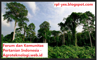 Forum dan Komunitas Pertanian Indonesia - Agroteknologi.web.id