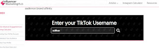 TikTok Money Calculator Influencer Marketing Hub