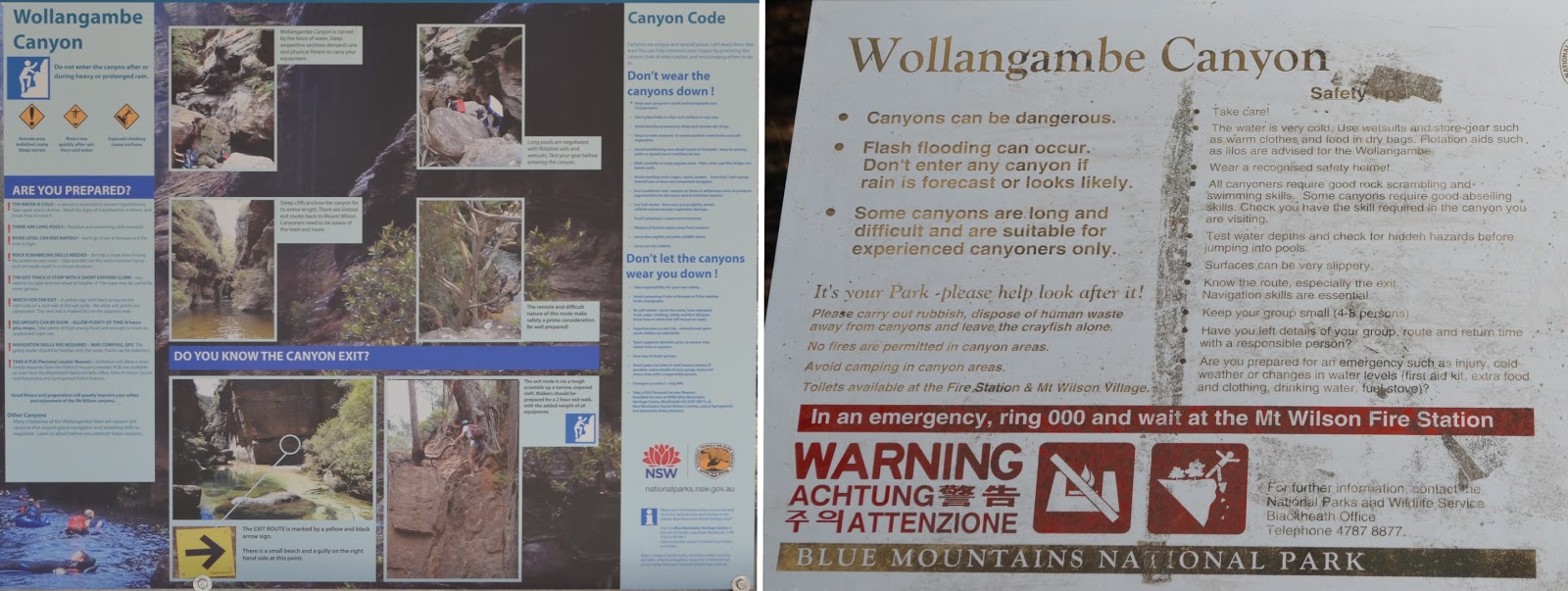 Canyonero Serendipity Canyon Canyonero Serendipity Canyon