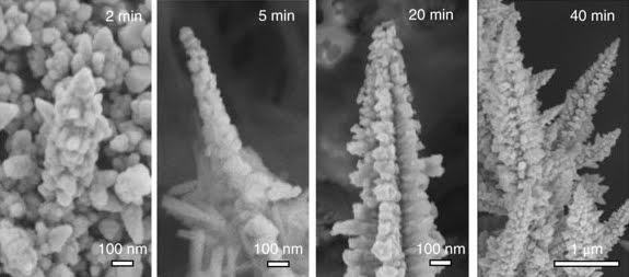 Scoperto il modo di trasformare il CO2 in plastica.