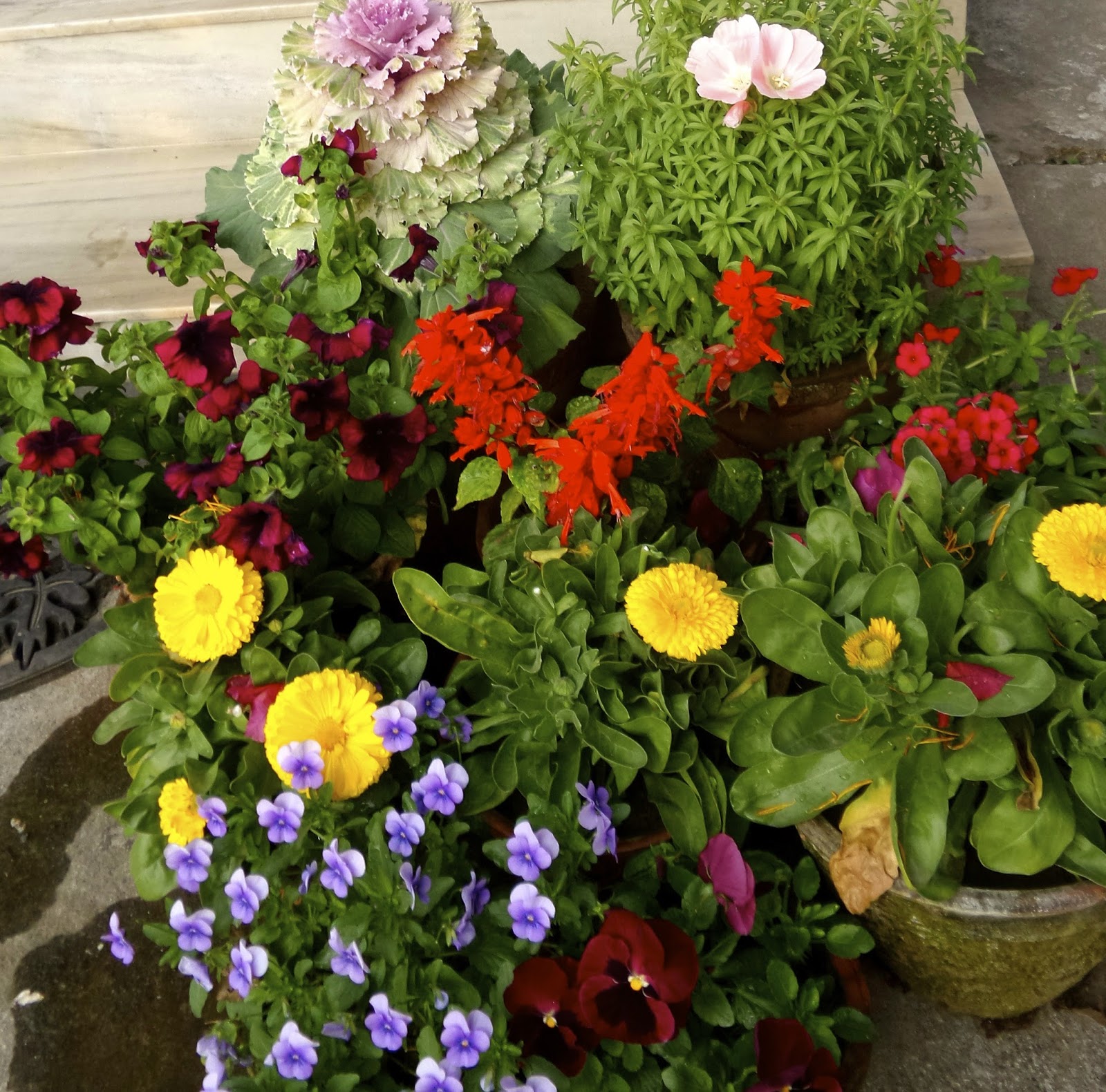 Keep Calm & Curry On Bowers of Flowers...That Don't Bloom in the Spring!